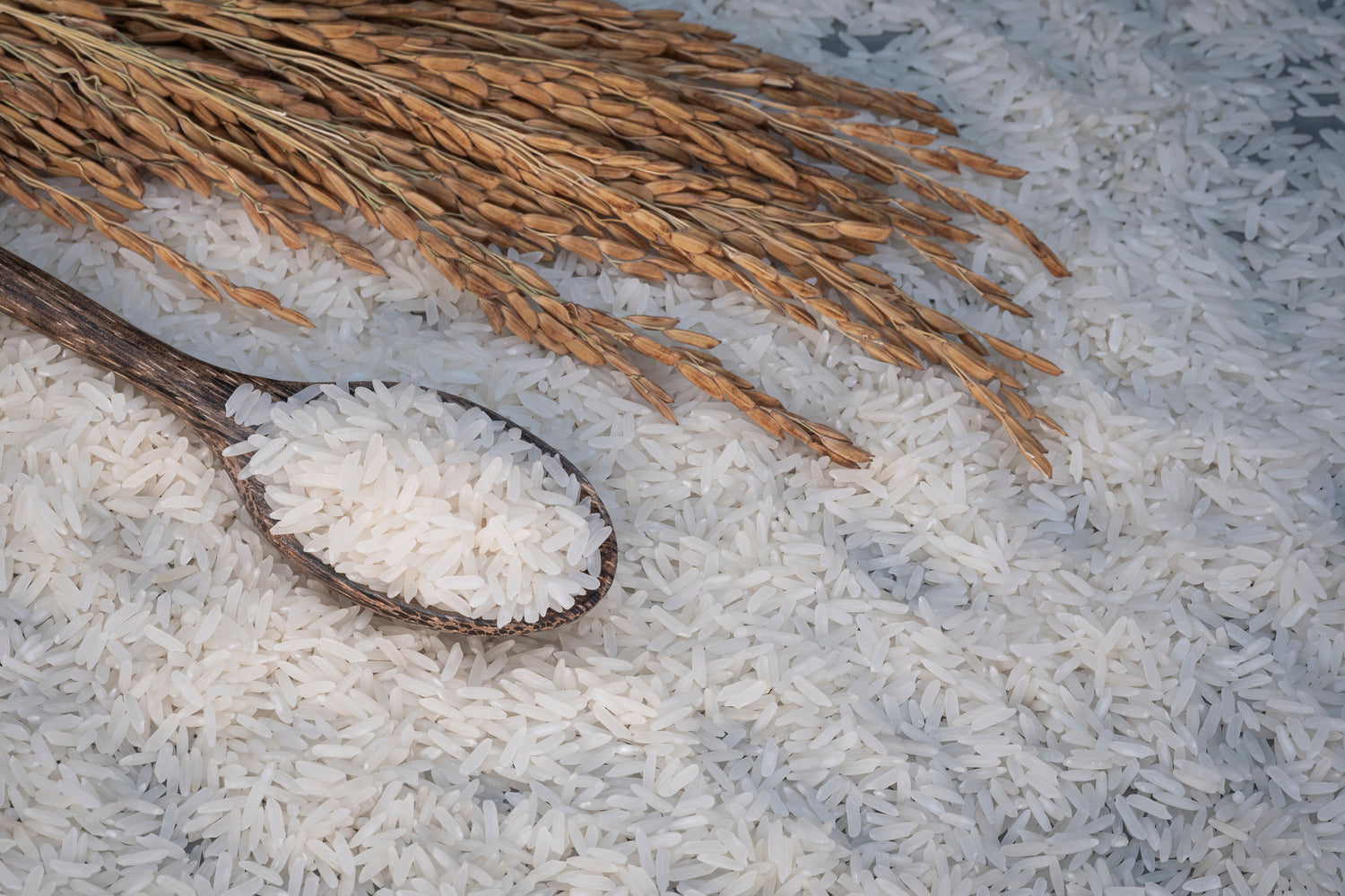 Rice